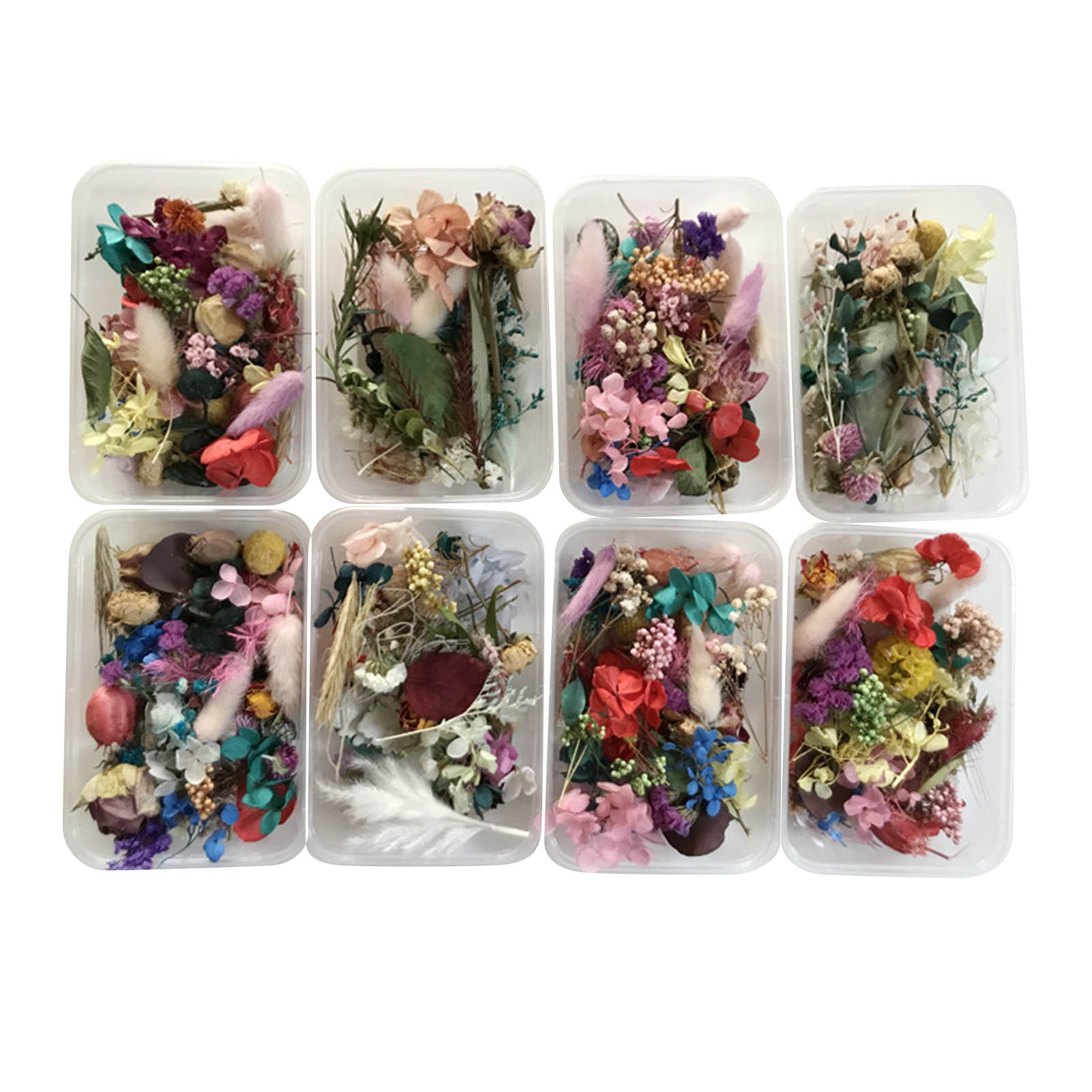 Dried Herbs - Sấy Khô Tự Nhiên Hoa Bộ