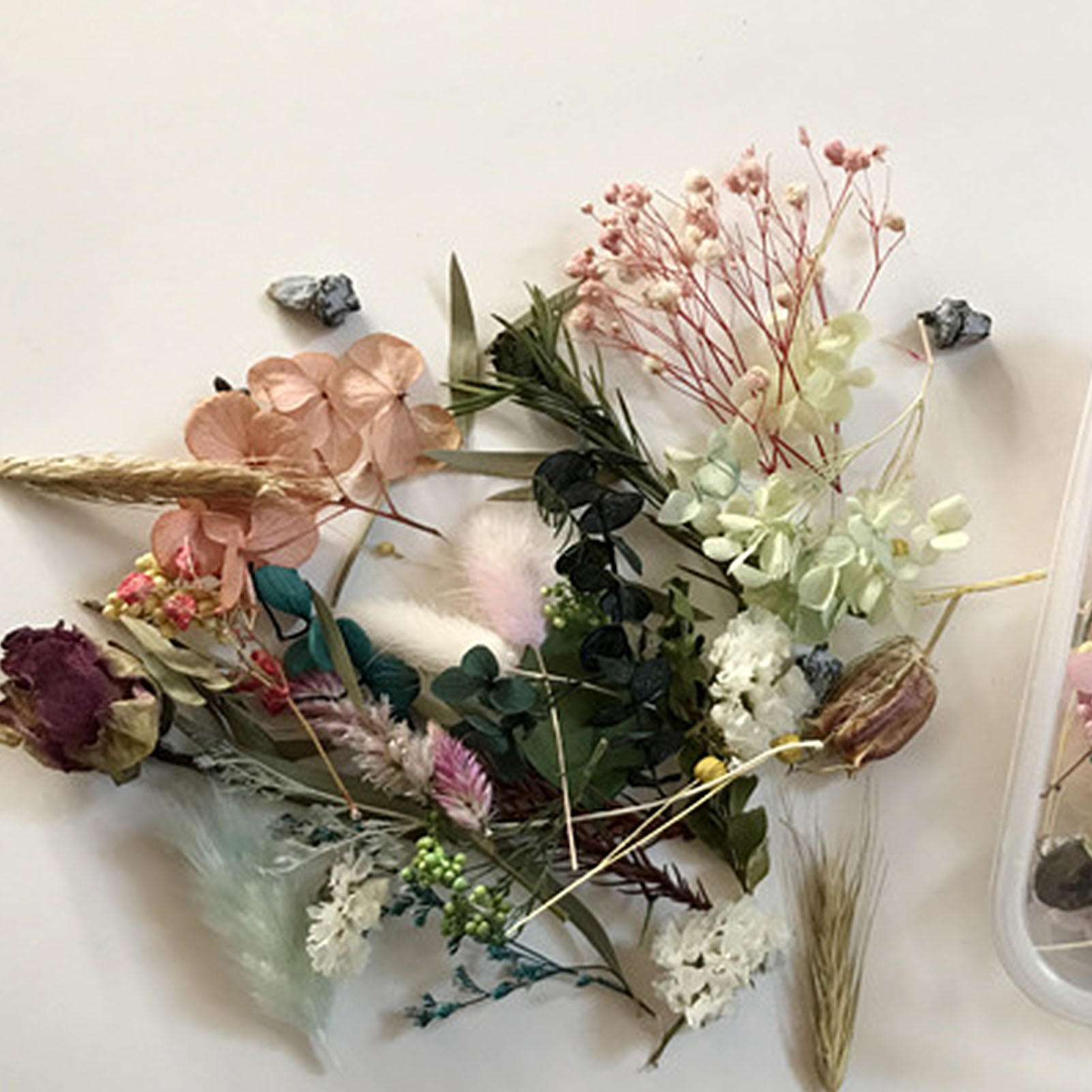 Sấy Khô Tự Nhiên Hoa Bộ Ép Tác - đánh giá và giá Dried Herbs