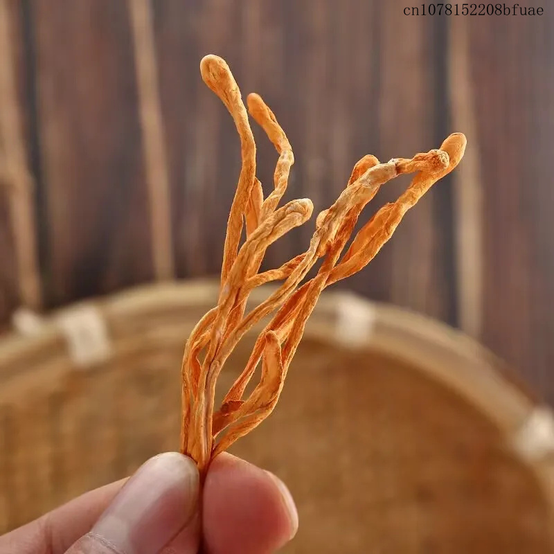 250g/500g Dried Cordyceps Flow - đánh giá và giá Dried Herbs