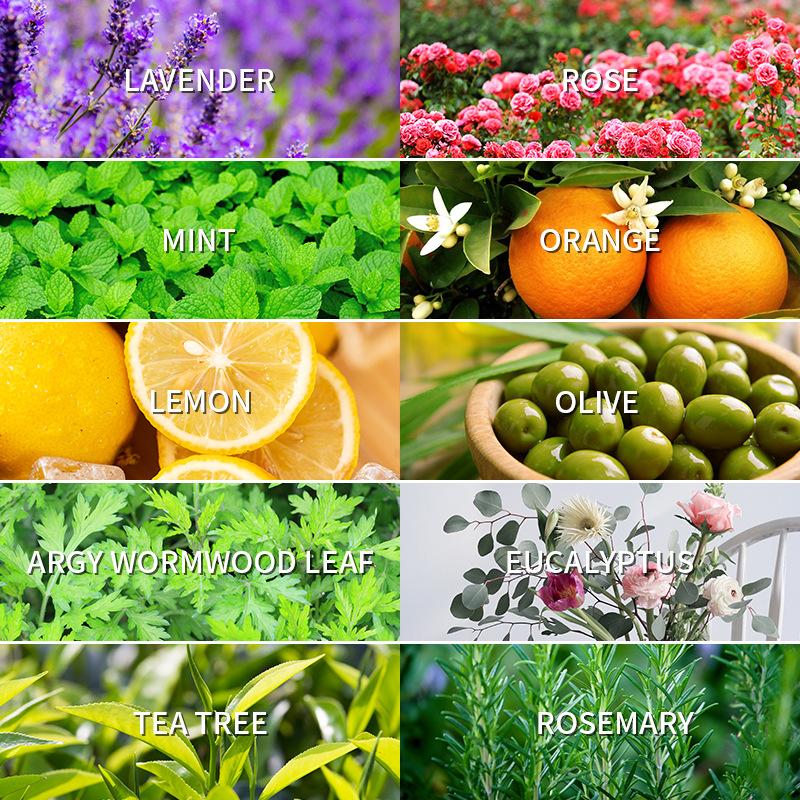 Aromatherapy Essential Oil 10m - đánh giá và giá Lavender Oil