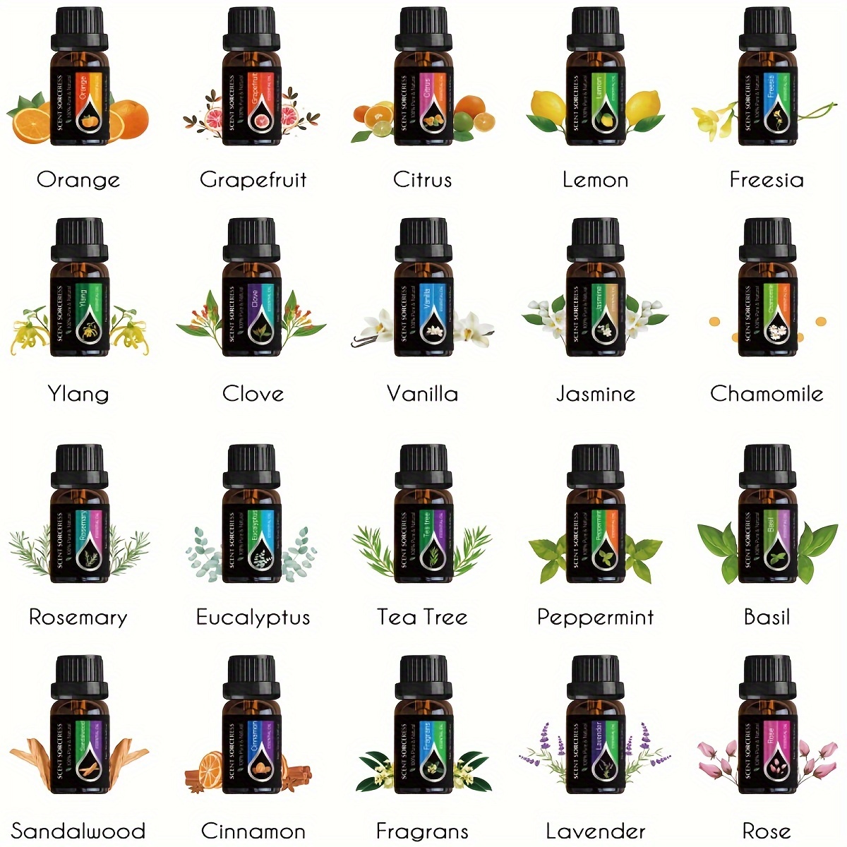 20Pcs/Set Classic Brand Essent - đánh giá và giá Lavender Oil